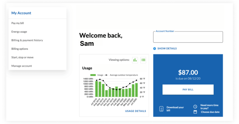 screenshot of power bill from energy company